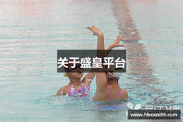 关于盛皇平台